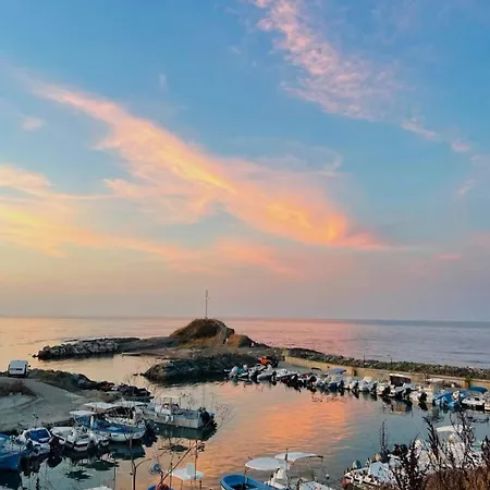 Oasis Park * Lozenets